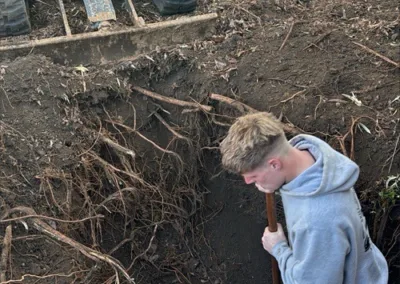 Jack removing tree roots